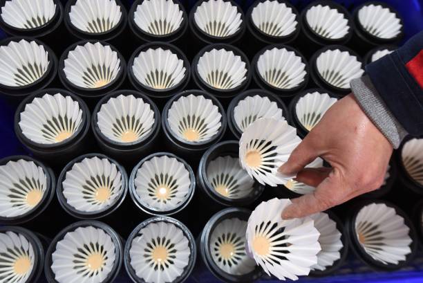 专业选手都在用的羽毛球拍材质,你的拍子选对了吗?