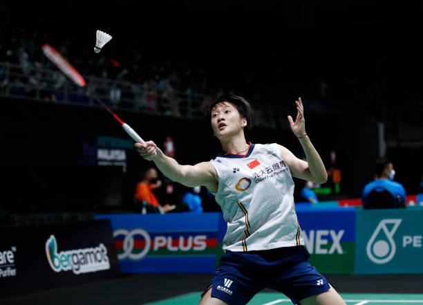 羽毛球场地划分指南:单打与双打区域对比