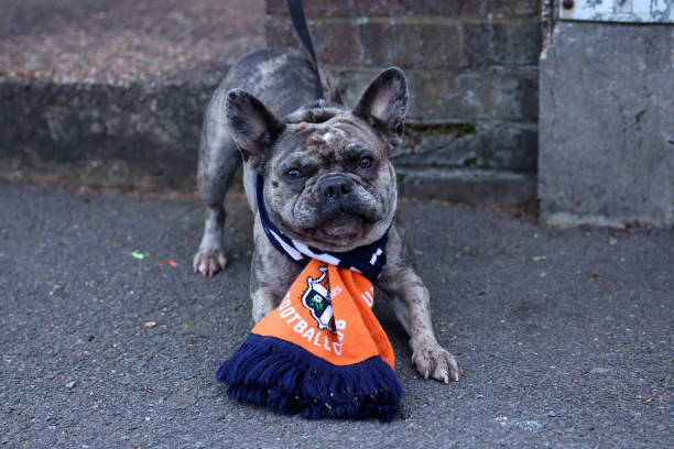 德甲ds直播:柏林联合vs弗赖堡,黑马之间的较量!