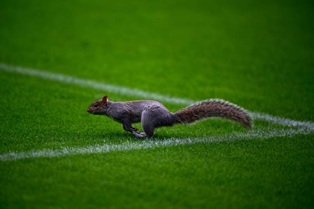 德甲实时积分榜:降级区球队生死战