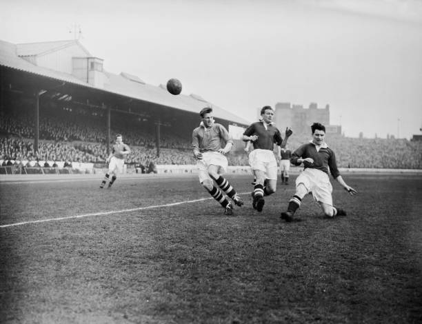 引导至电商部分,突出最新商品