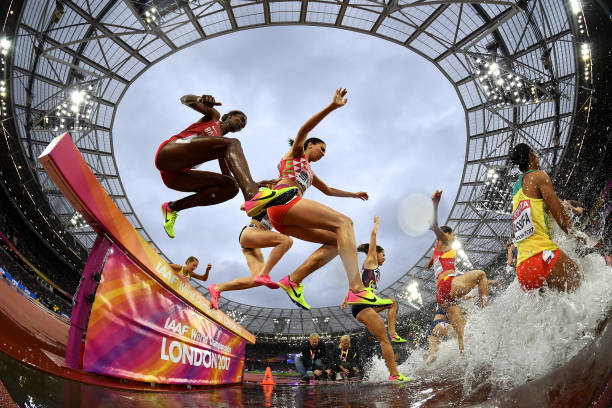 菲尔普斯双胞胎同日完婚，泳坛传奇喜上加喜