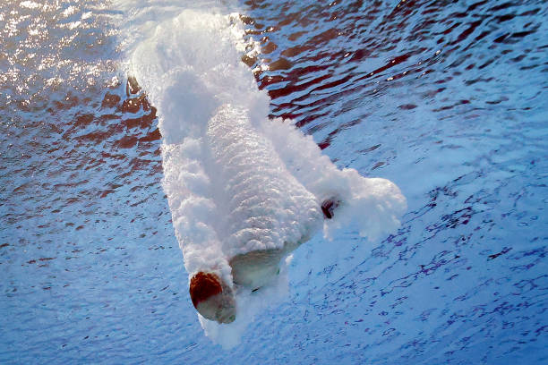 孙杨的辉煌时刻：回顾他打破世界纪录的经典瞬间