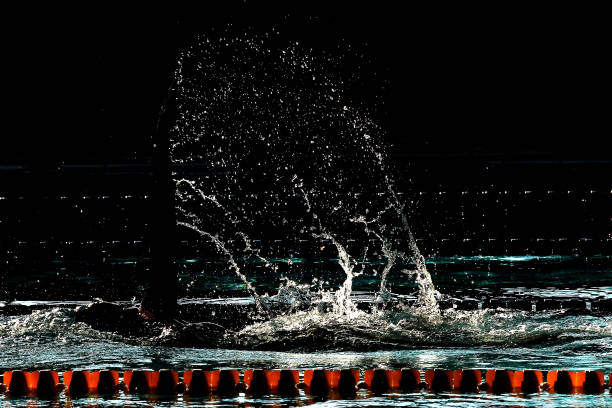 游泳转身技巧:自由泳与蛙泳的完美转身