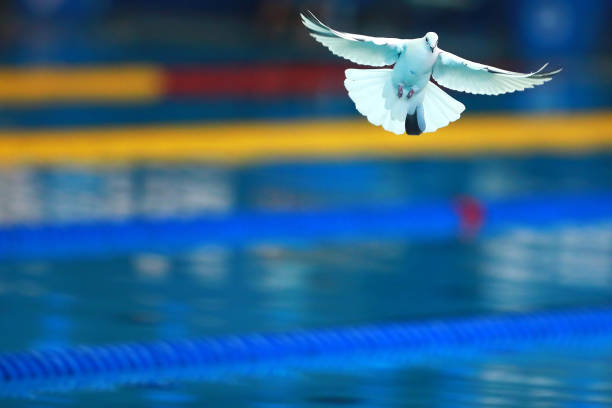 家长必看:儿童充气游泳池气味是否安全?科学解答