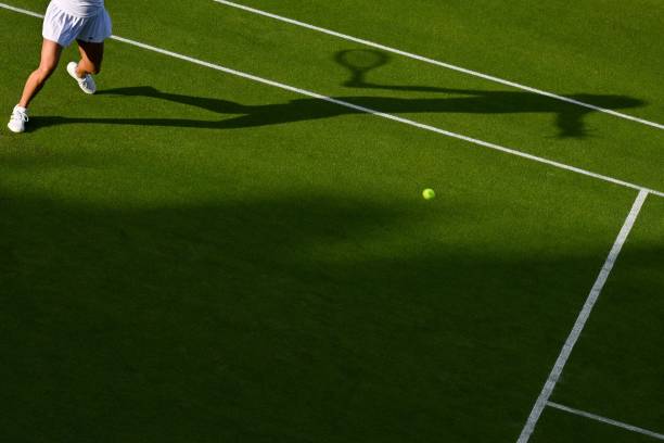 德约科维奇温网表现引热议,球迷期待再创历史