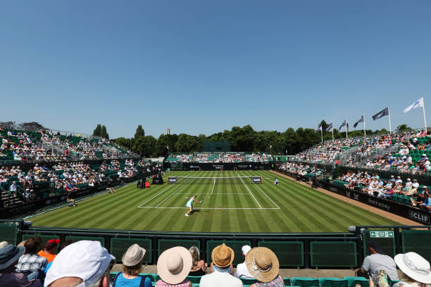 辛那的网球生涯数据:胜率、对手与比赛统计