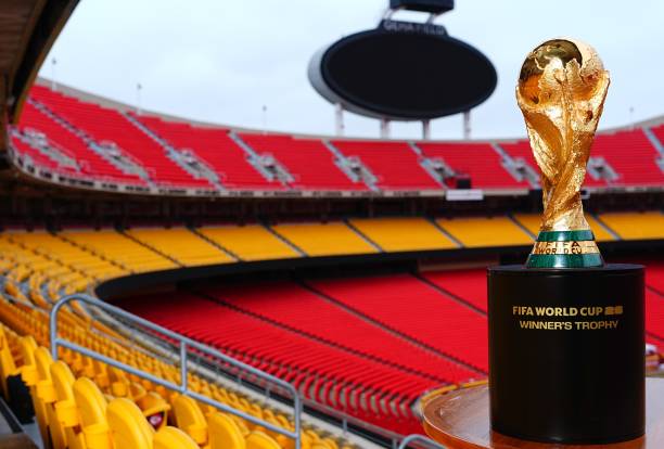 世界杯东道主球队比分表现全解析