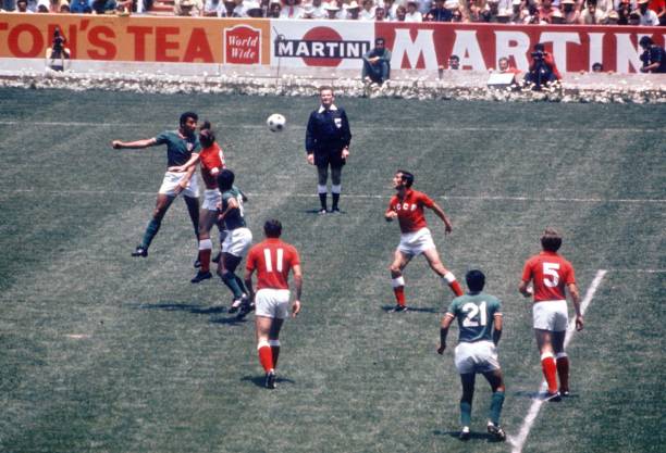 盘点世界杯历届最佳射手:那些闪耀绿茵场的进球机器